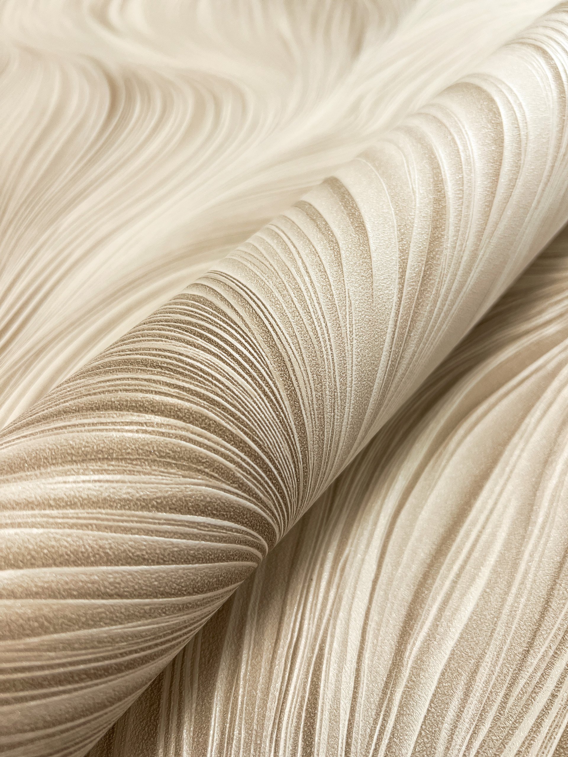 Kady Beige