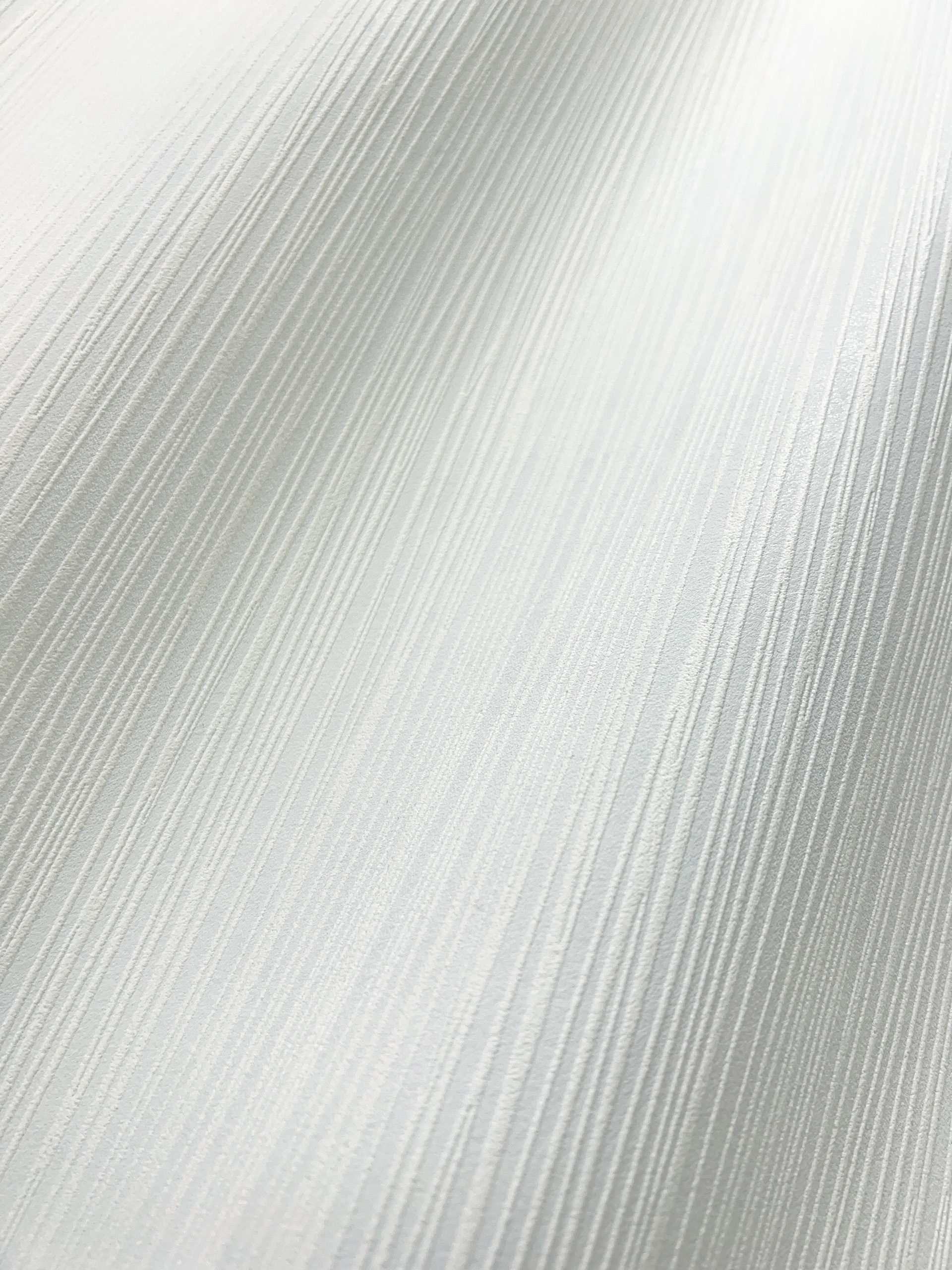 Feines Zebra