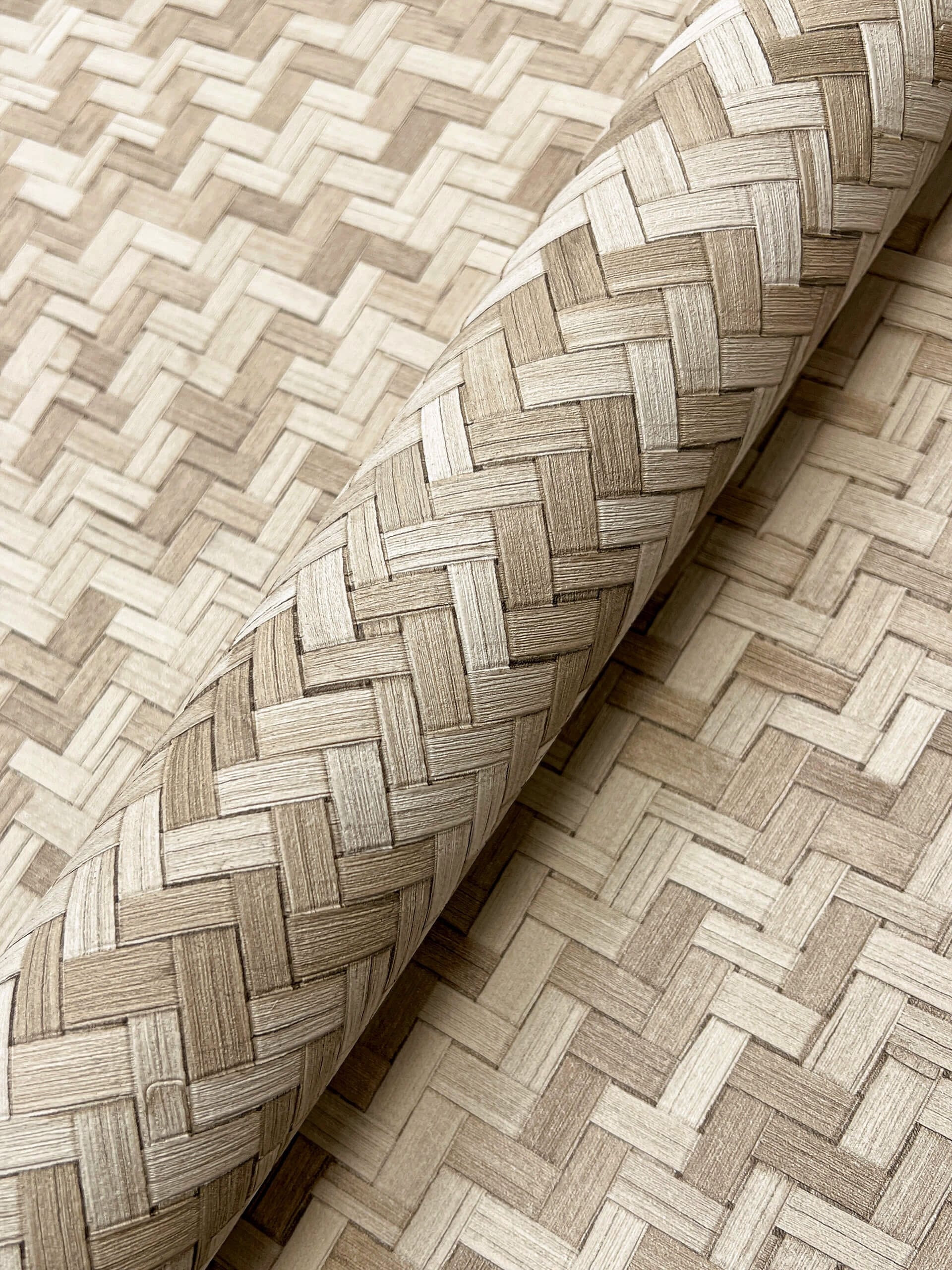 Nazila Rattan 2