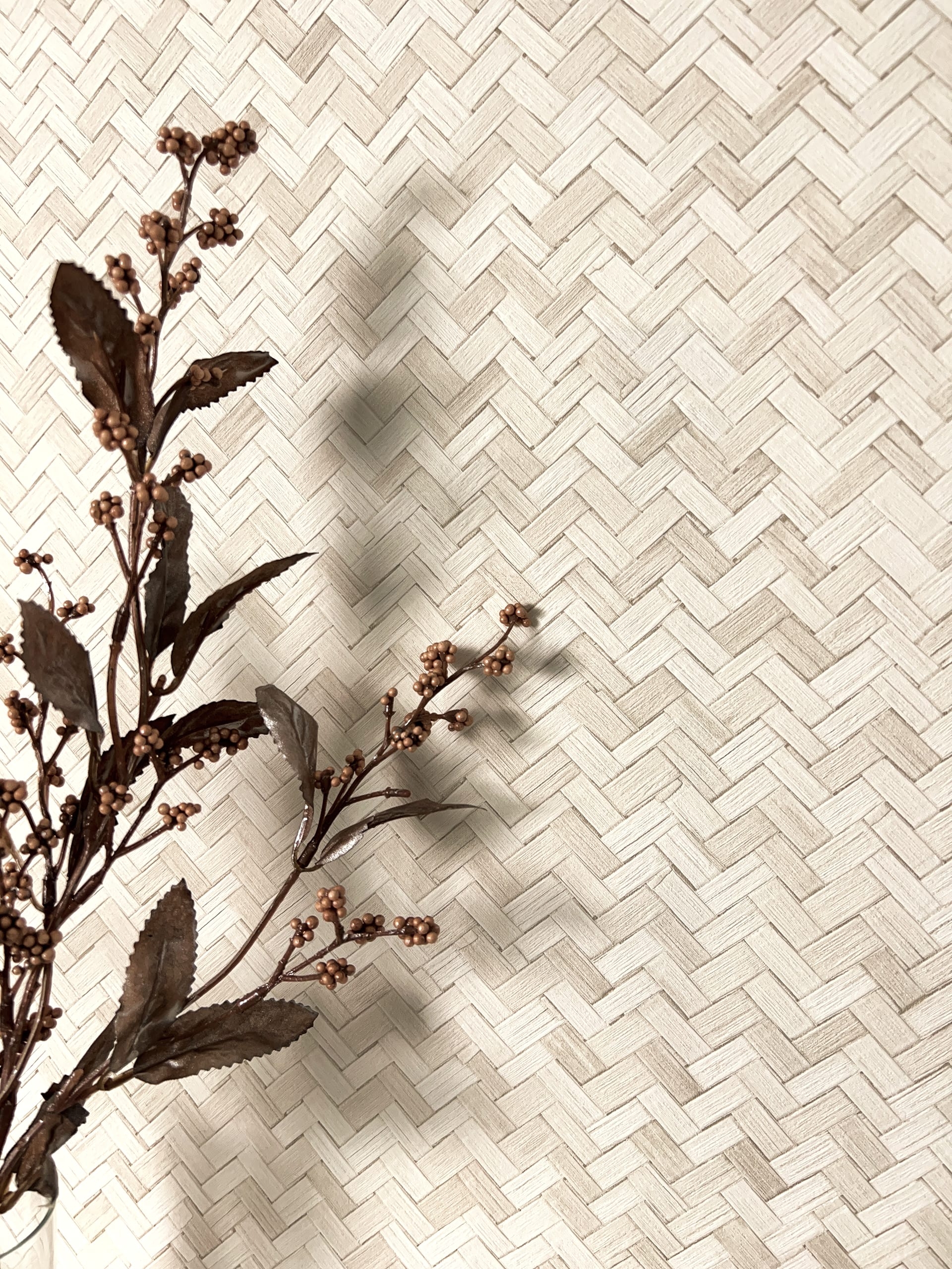 Calamus Creme