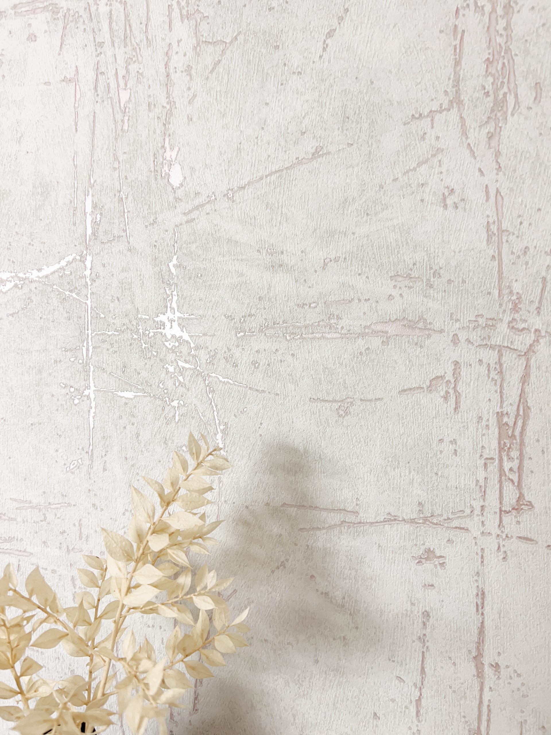 Barnett Wall Rose