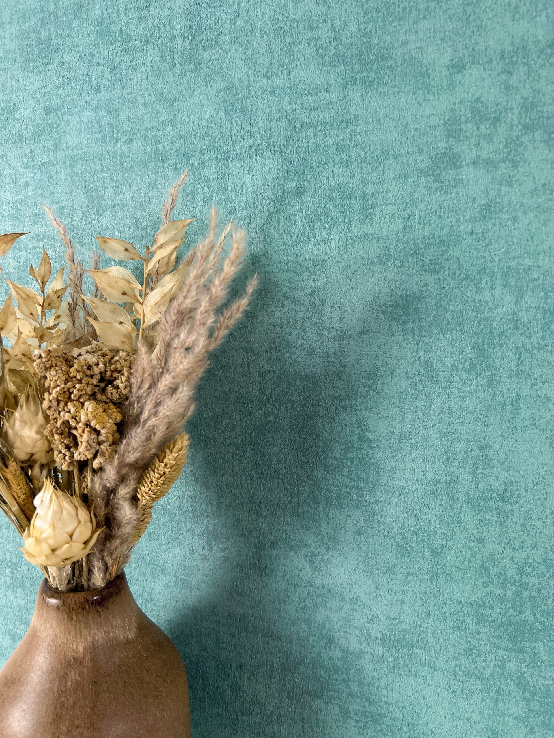 Amon 12